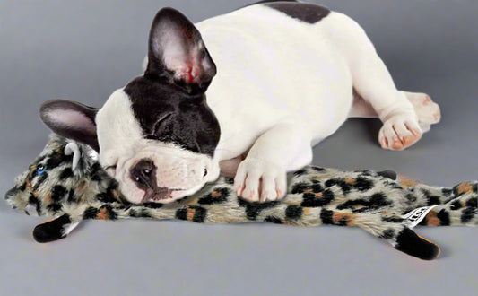 Dog Squeaky Toys No Stuffing, 6 Pack Dog Toys Crinkle Dog Toys for Small Dogs Durable Dog Chew Toys Plush Cute Animals Natural Puppy Toys for Teething Pet Toys Squeak